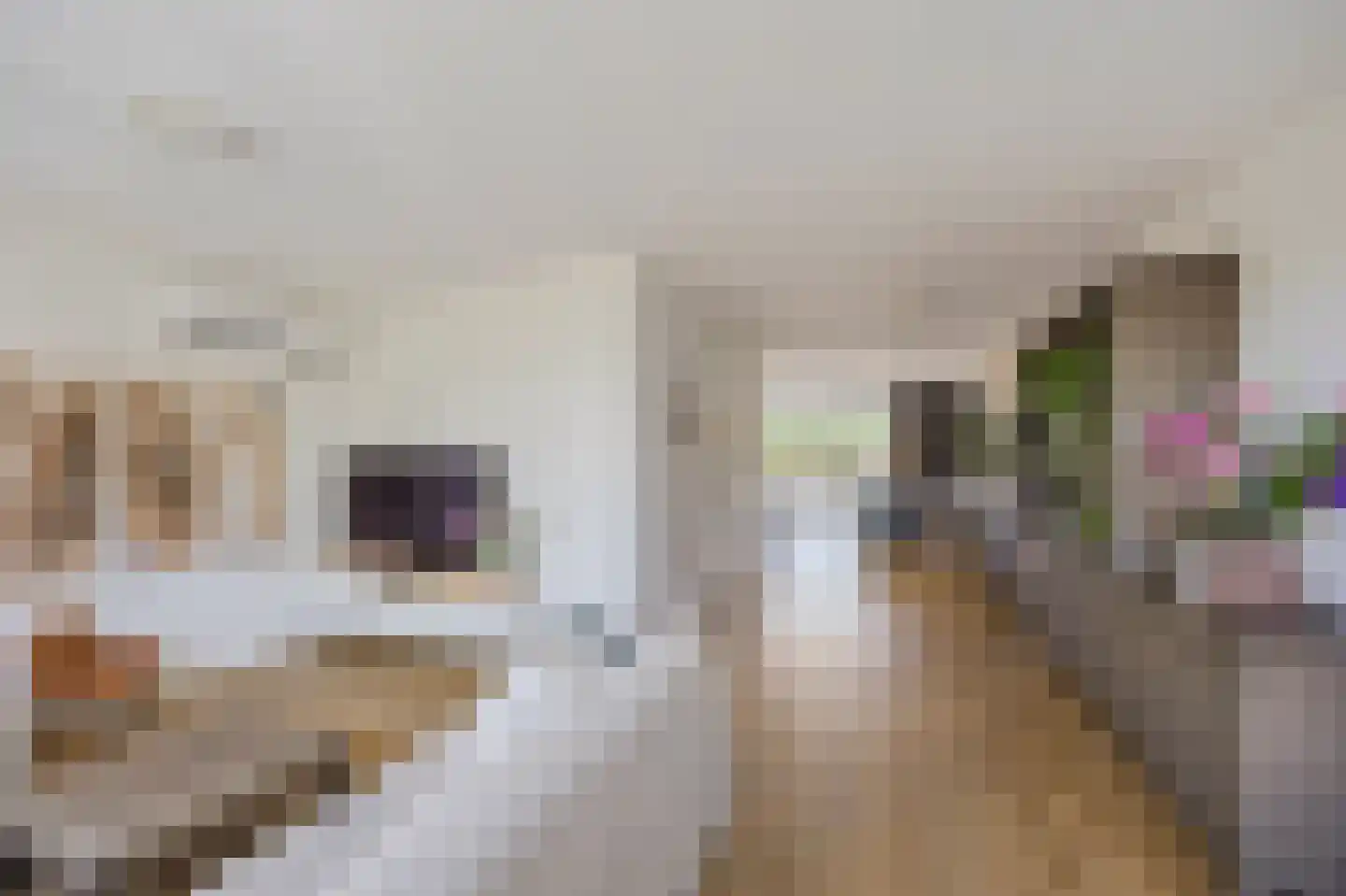 In de Bóngerd 22 Nieuwstadt thumbnail 14