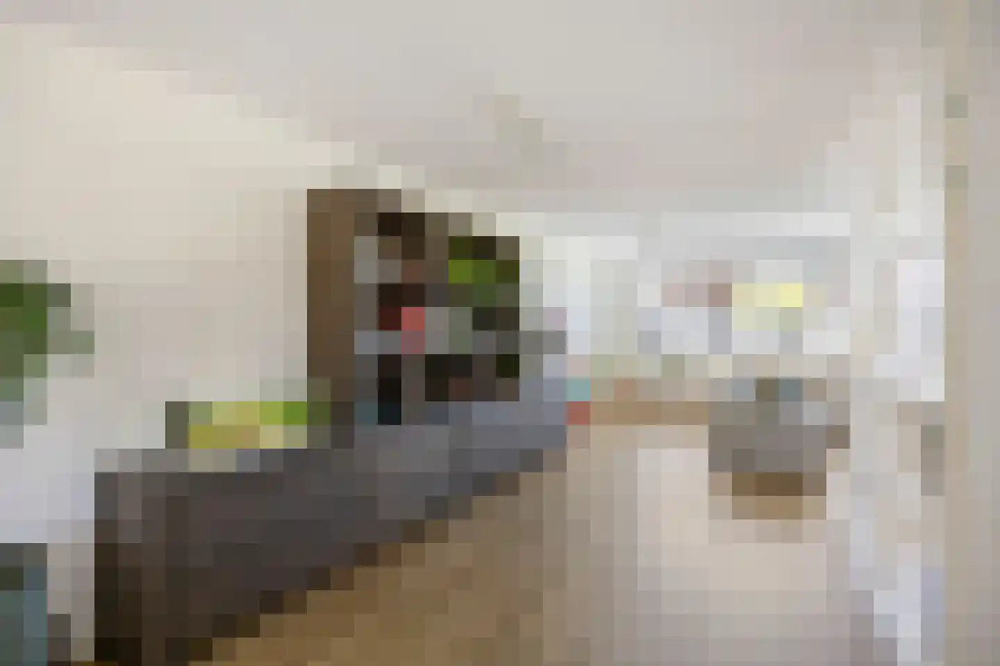In de Bóngerd 22 Nieuwstadt thumbnail 16