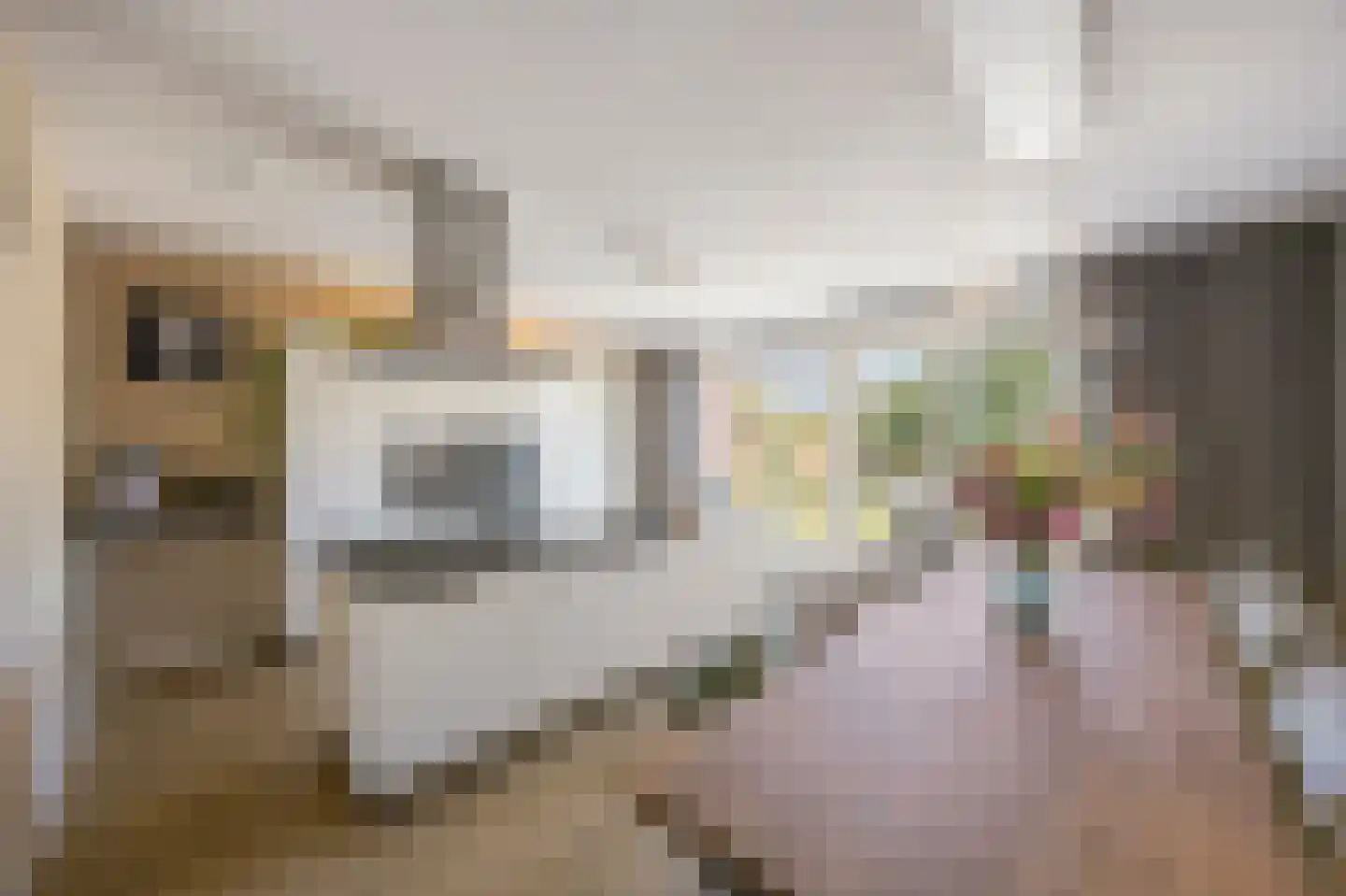 In de Bóngerd 22 Nieuwstadt thumbnail 21