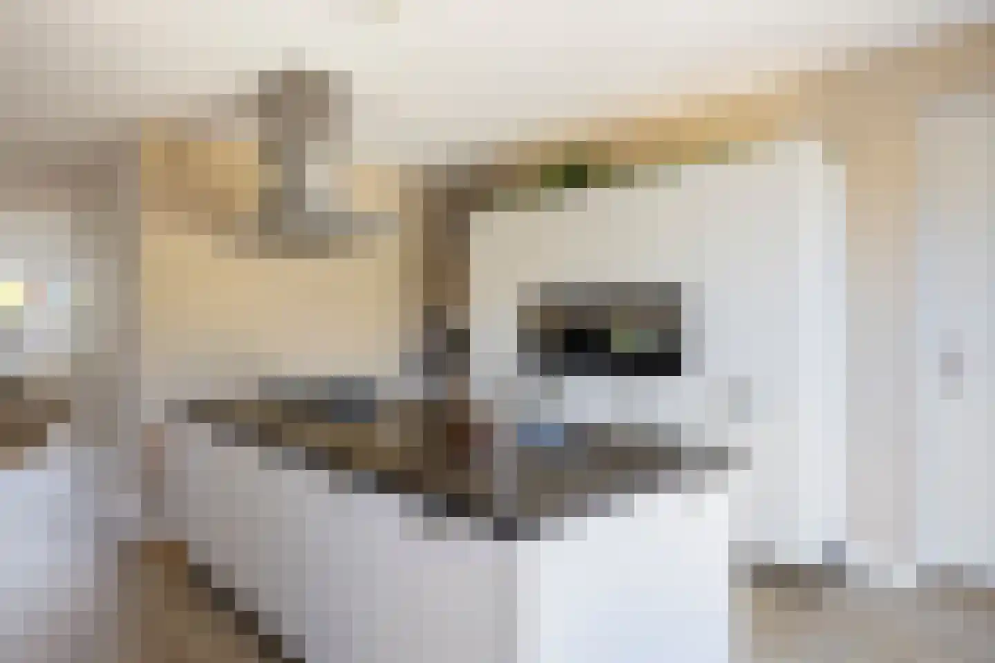 In de Bóngerd 22 Nieuwstadt thumbnail 23