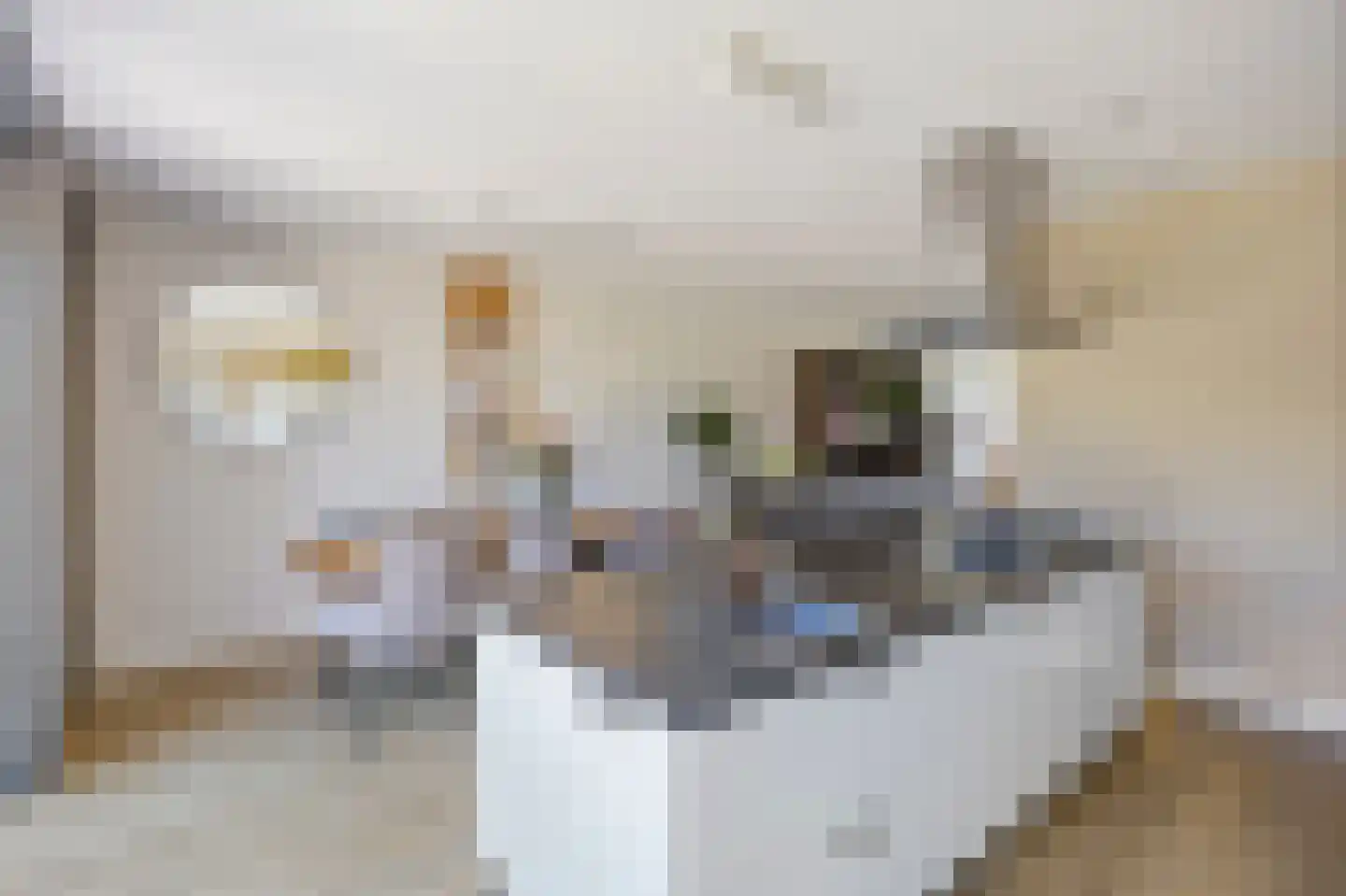 In de Bóngerd 22 Nieuwstadt thumbnail 24