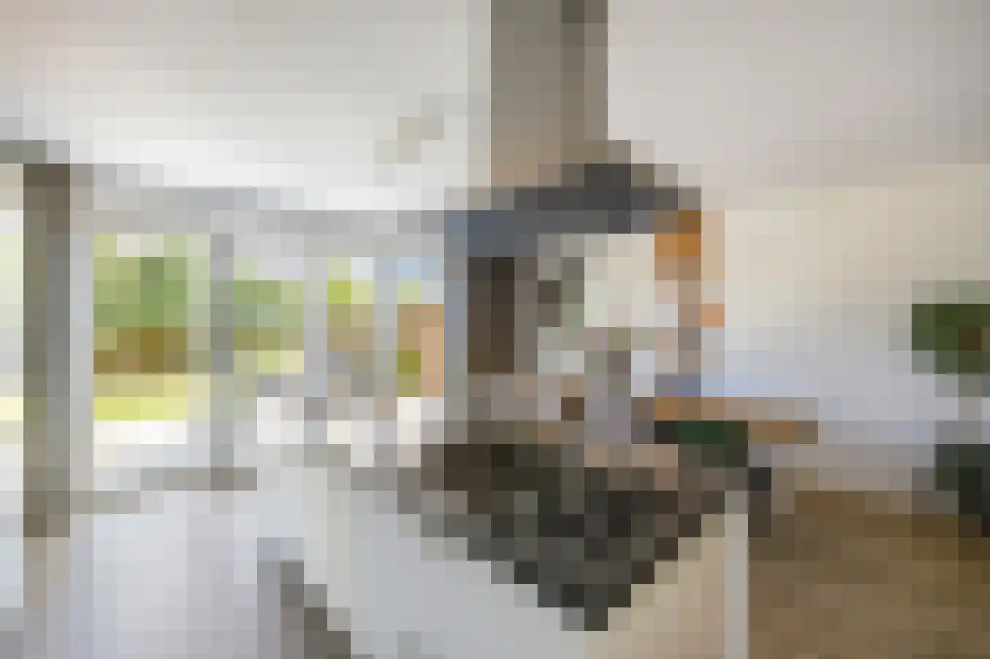 In de Bóngerd 22 Nieuwstadt thumbnail 25