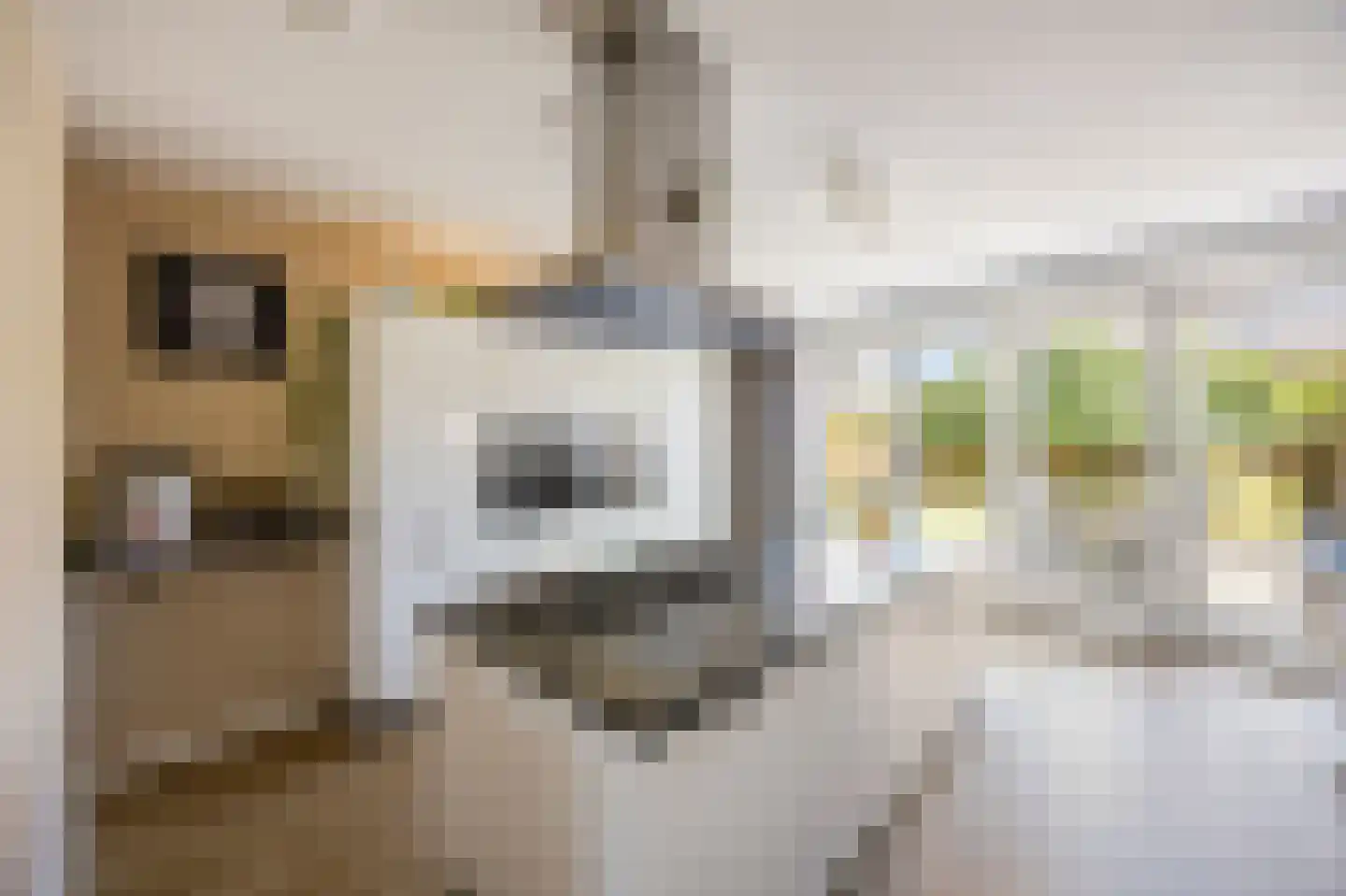 In de Bóngerd 22 Nieuwstadt thumbnail 27