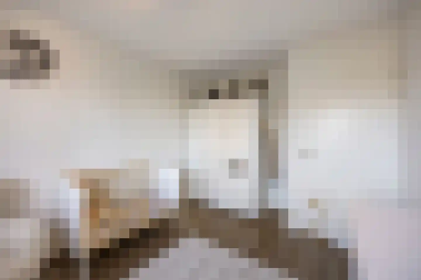In de Bóngerd 22 Nieuwstadt thumbnail 36