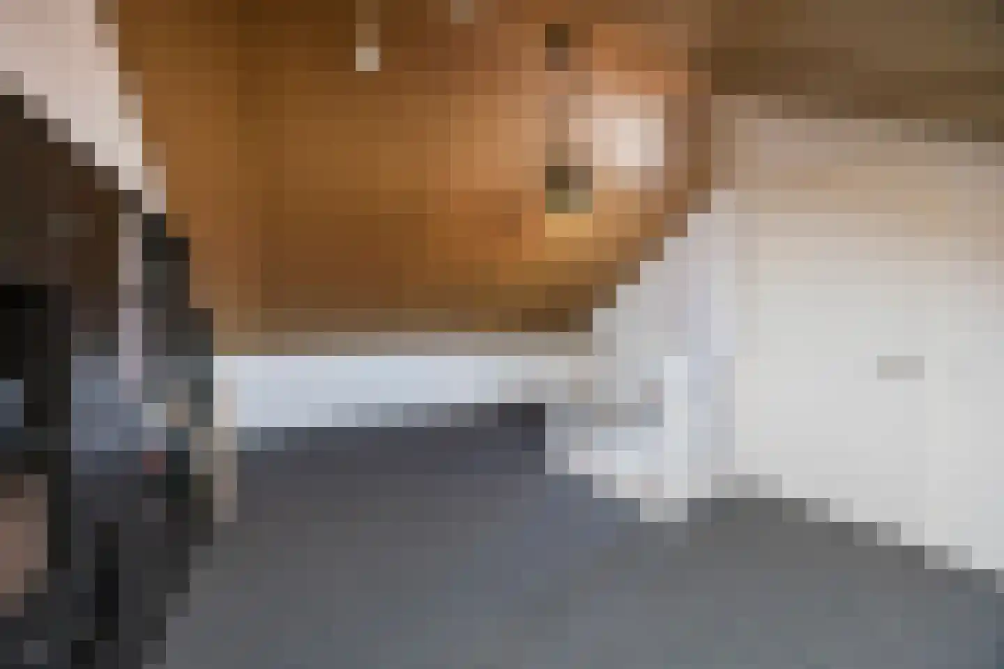 In de Bóngerd 22 Nieuwstadt thumbnail 43
