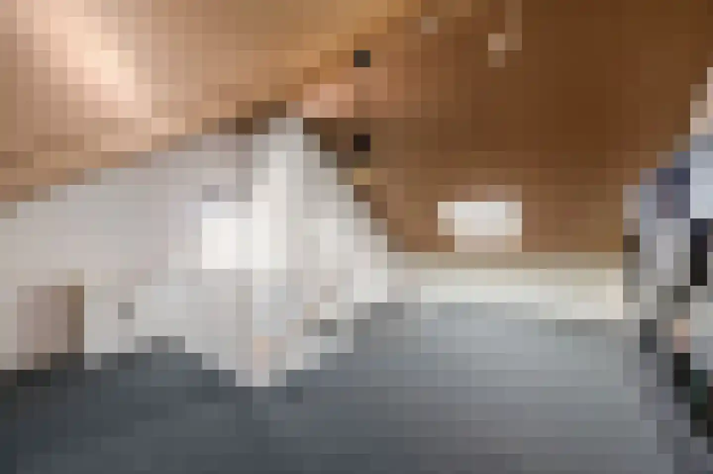 In de Bóngerd 22 Nieuwstadt thumbnail 44