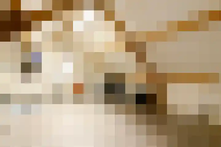 In de Bongerd 24 Bunde thumbnail 25