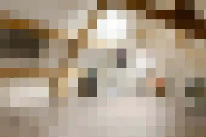 In de Bongerd 24 Bunde thumbnail 26