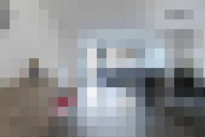 In de Bongerd 24 Bunde thumbnail 8