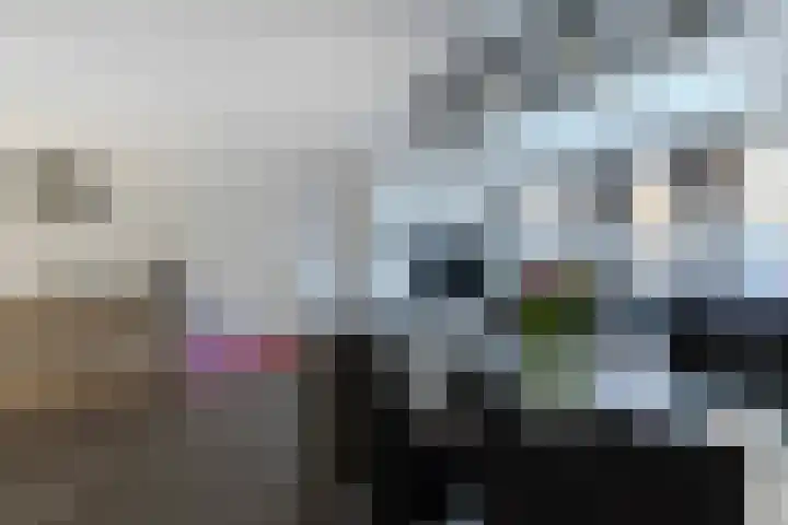 In de Bongerd 24 Bunde thumbnail 9