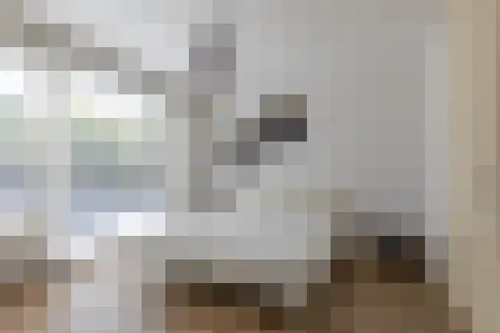 In de Bóngerd 9 Nieuwstadt thumbnail 10