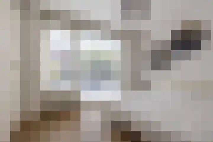 In de Bóngerd 9 Nieuwstadt thumbnail 11