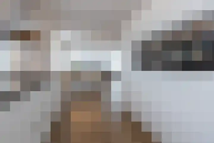 In de Bóngerd 9 Nieuwstadt thumbnail 14