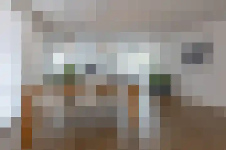 In de Bóngerd 9 Nieuwstadt thumbnail 15