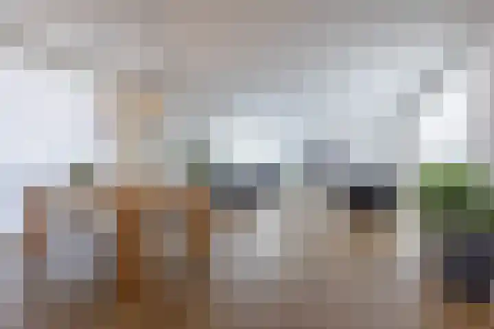 In de Bóngerd 9 Nieuwstadt thumbnail 16