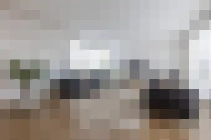 In de Bóngerd 9 Nieuwstadt thumbnail 17