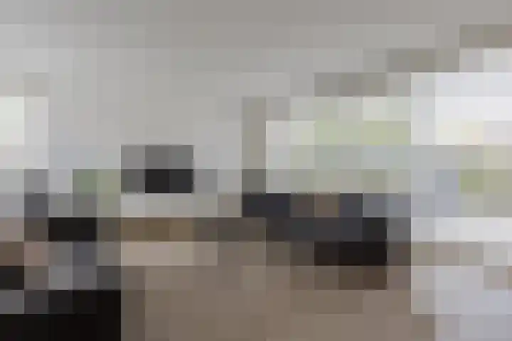 In de Bóngerd 9 Nieuwstadt thumbnail 18