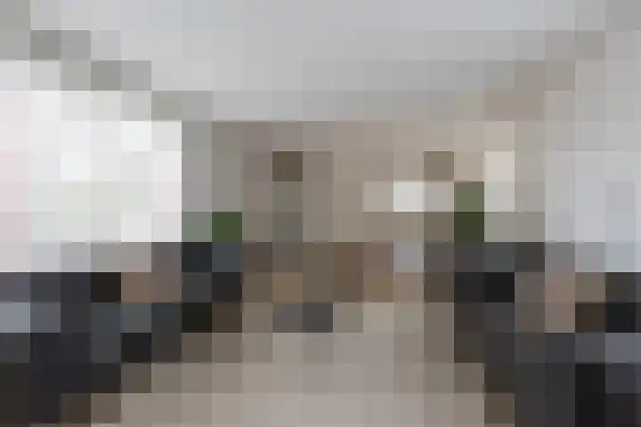 In de Bóngerd 9 Nieuwstadt thumbnail 20