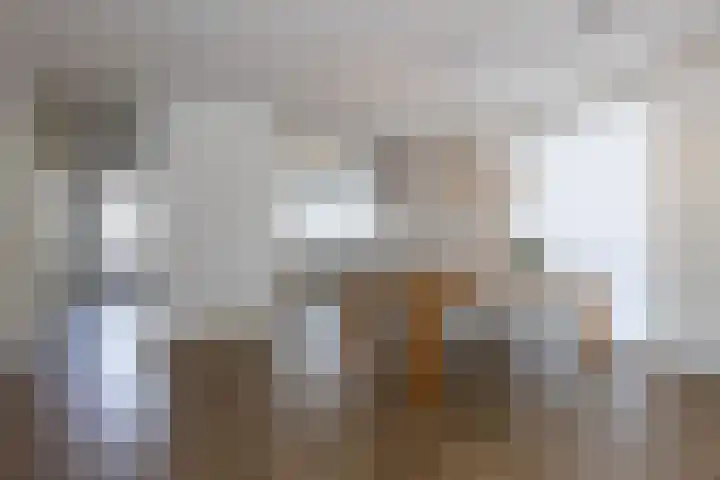 In de Bóngerd 9 Nieuwstadt thumbnail 21