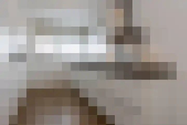 In de Bóngerd 9 Nieuwstadt thumbnail 23