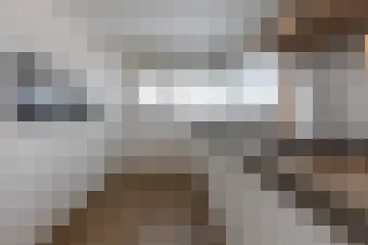 In de Bóngerd 9 Nieuwstadt thumbnail 24