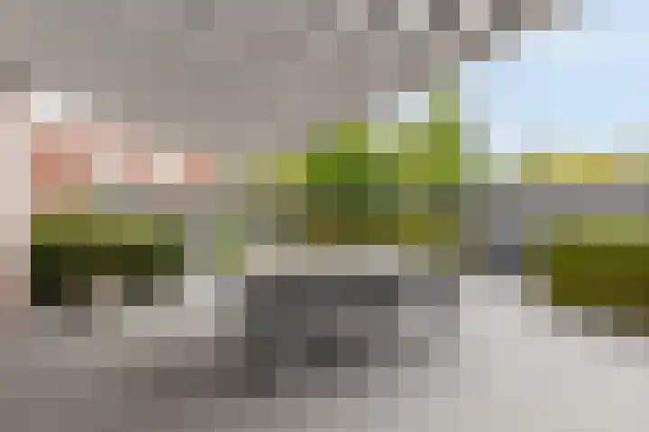 In de Bóngerd 9 Nieuwstadt thumbnail 25