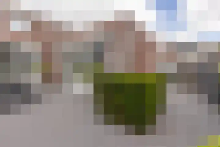 In de Bóngerd 9 Nieuwstadt thumbnail 28