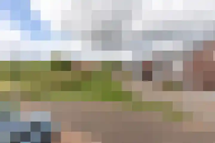 In de Bóngerd 9 Nieuwstadt thumbnail 37