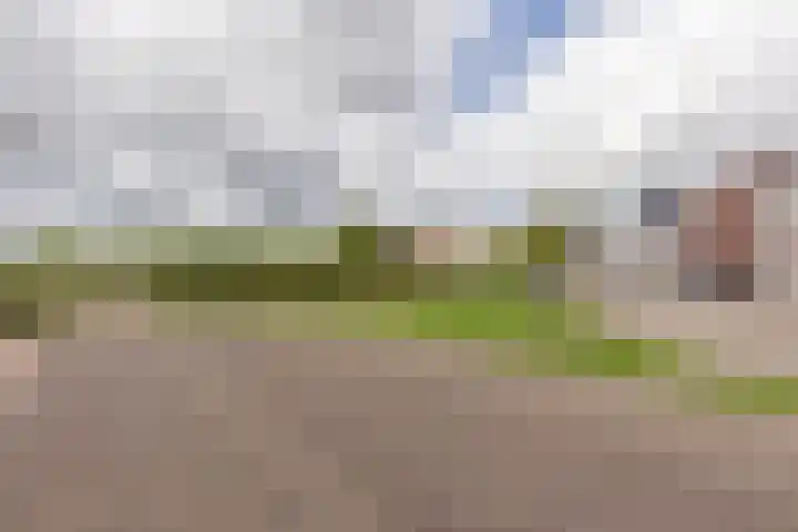 In de Bóngerd 9 Nieuwstadt thumbnail 39