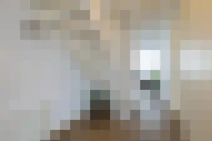 In de Bóngerd 9 Nieuwstadt thumbnail 7