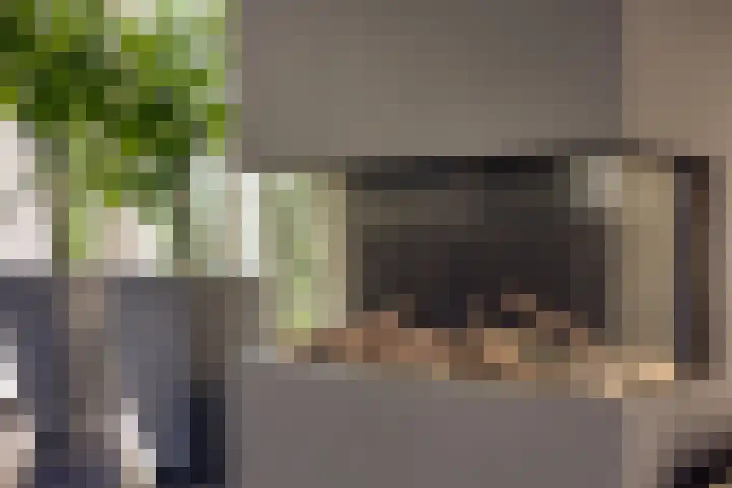 In de boogerd 9 's-Heer Abtskerke thumbnail 11