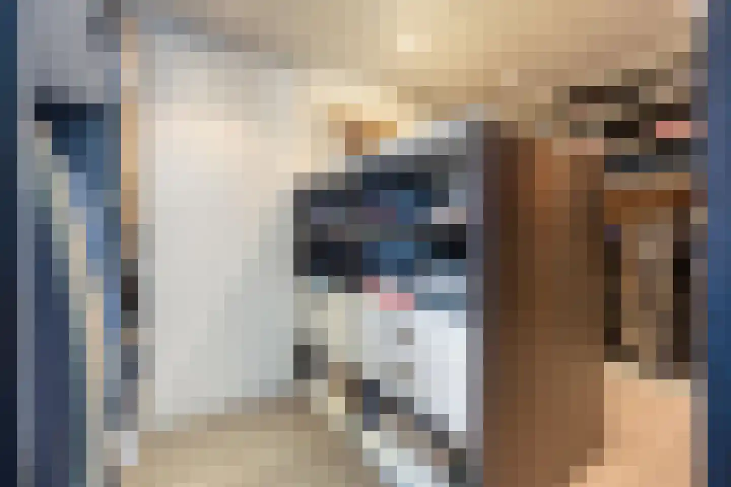 In de boogerd 9 's-Heer Abtskerke thumbnail 26