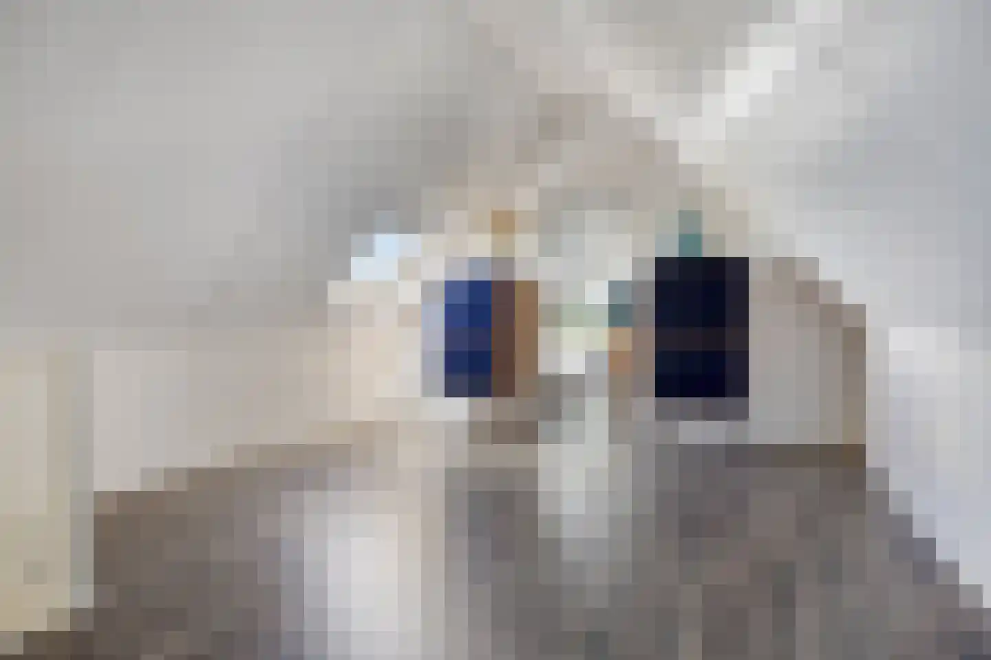 In de boogerd 9 's-Heer Abtskerke thumbnail 37