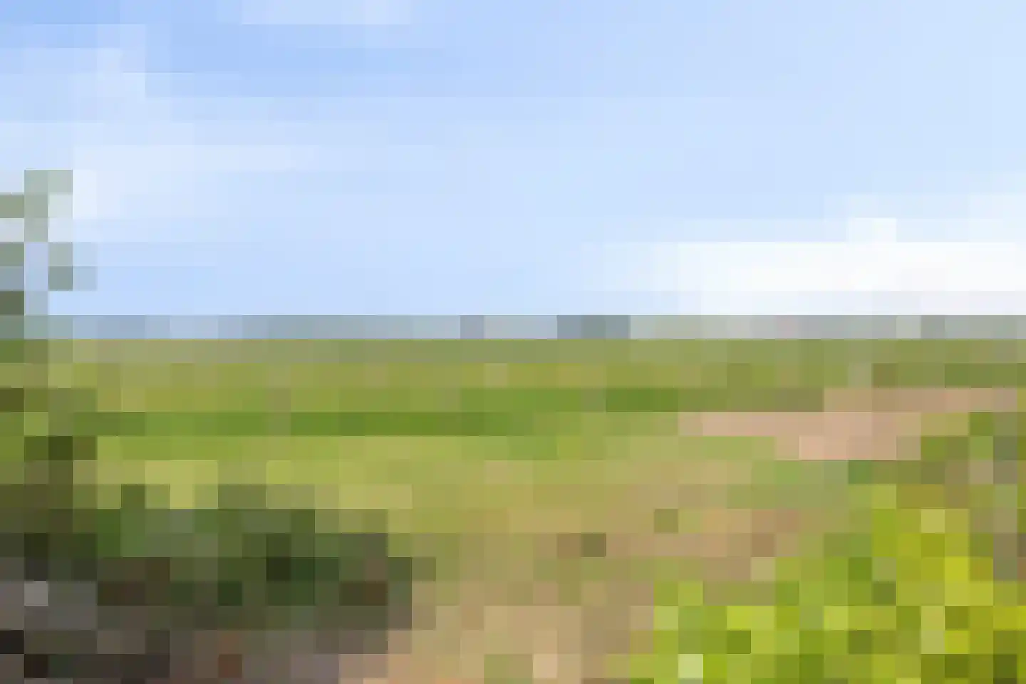In de boogerd 9 's-Heer Abtskerke thumbnail 4