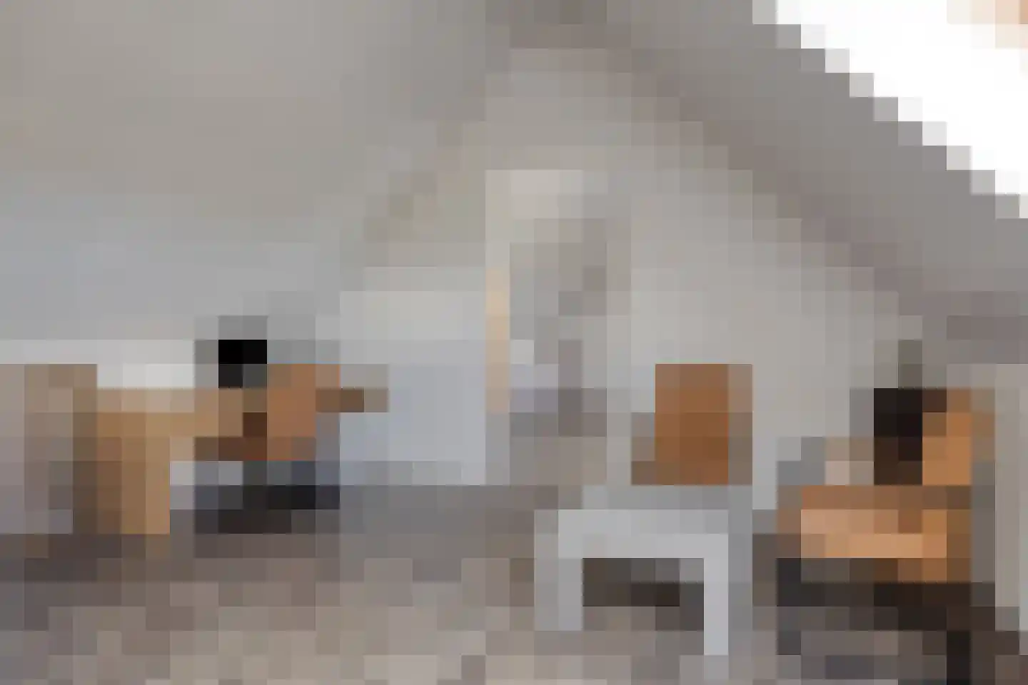 In de boogerd 9 's-Heer Abtskerke thumbnail 40
