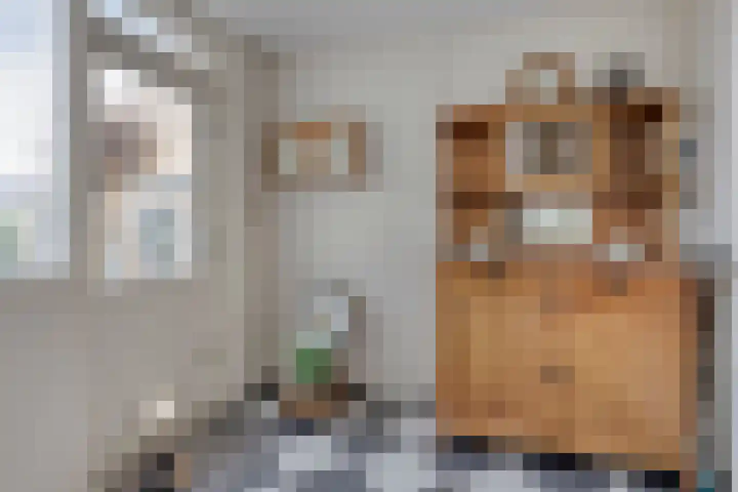 In de boomgaard 16 Bergschenhoek thumbnail 22