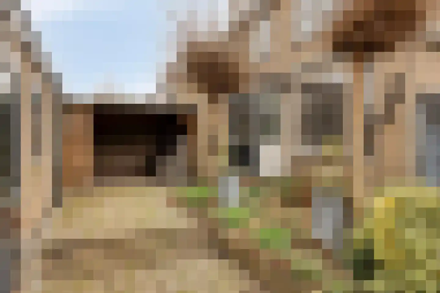 In de boomgaard 16 Bergschenhoek thumbnail 27