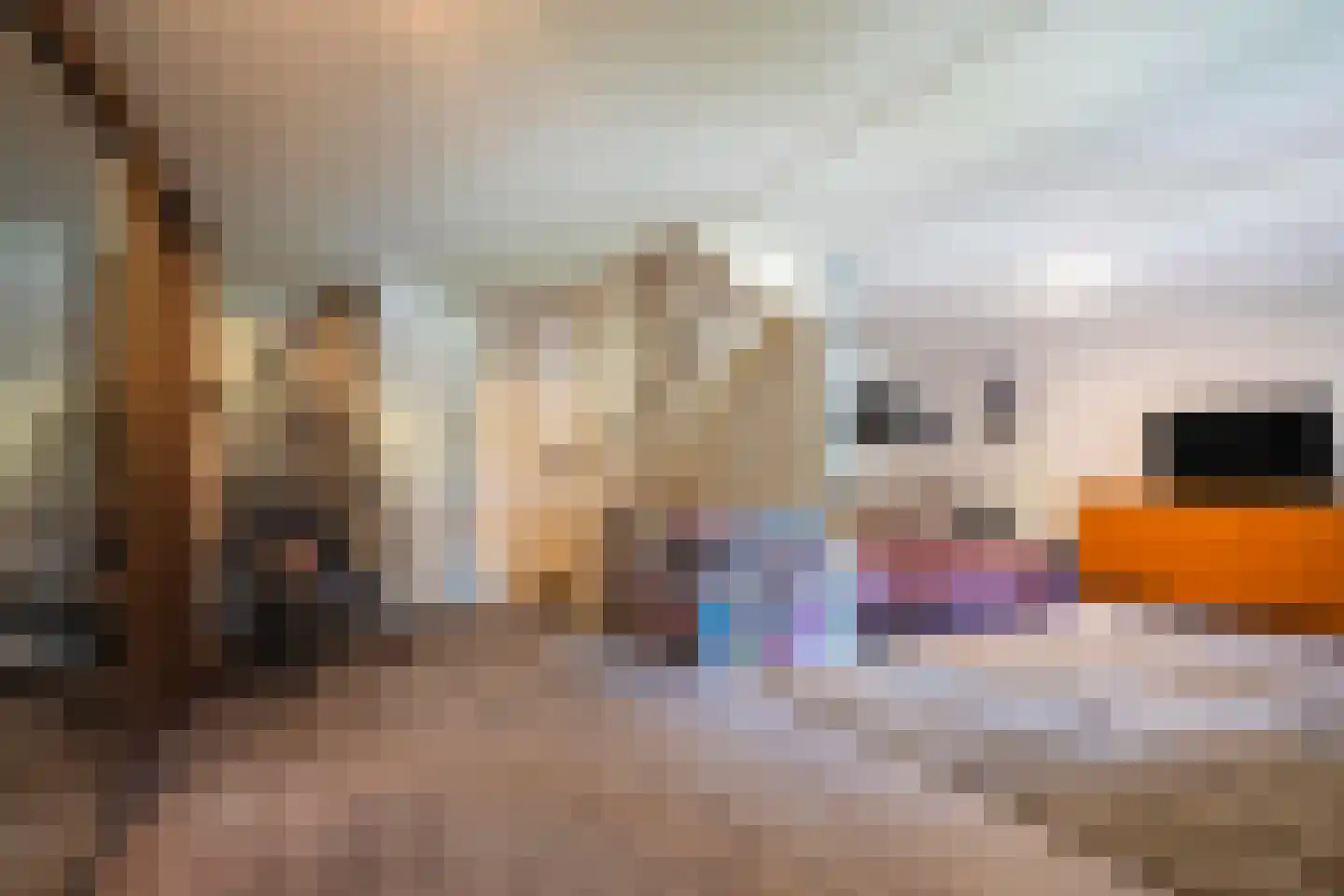In de Boomgaard 21 Kerkrade thumbnail 24