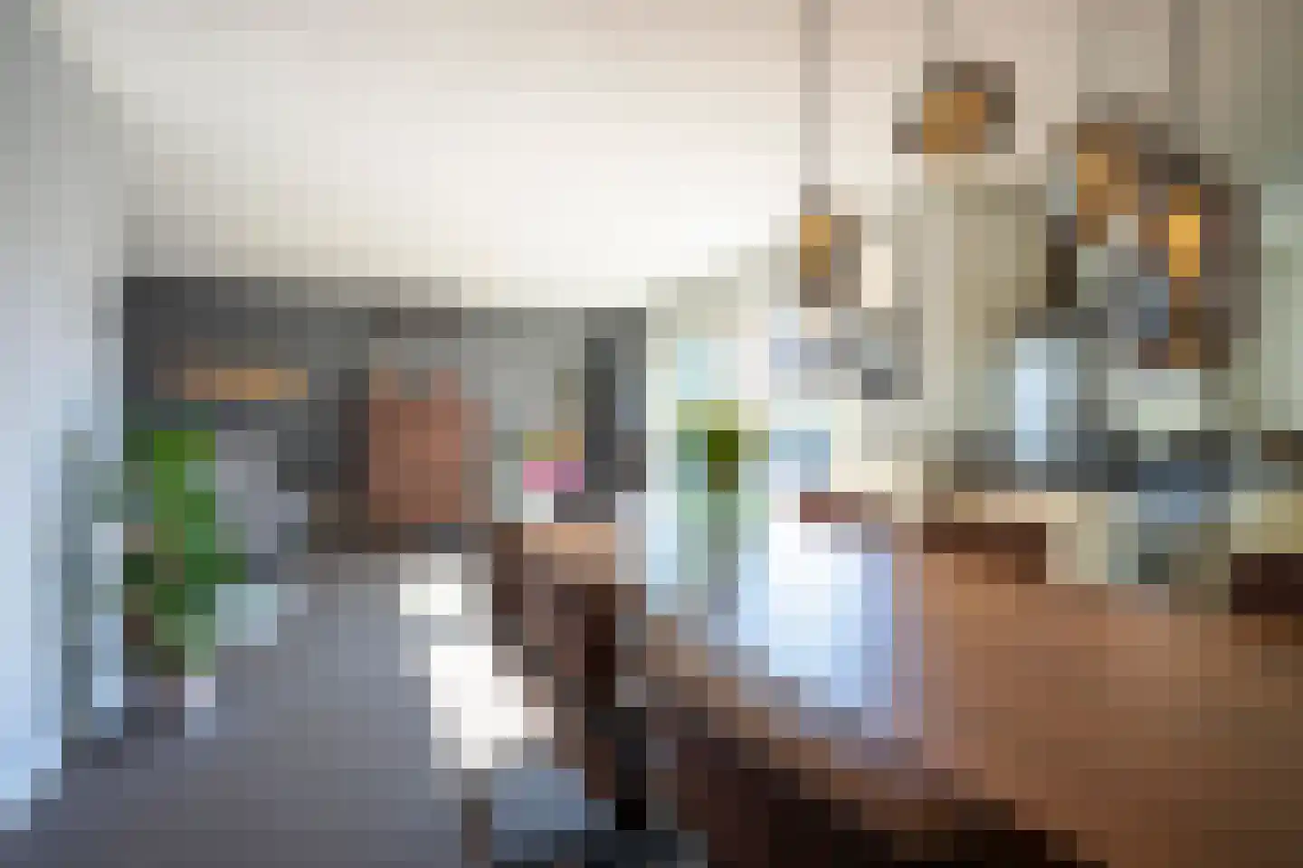 In de Boomgaard 21 Kerkrade thumbnail 8