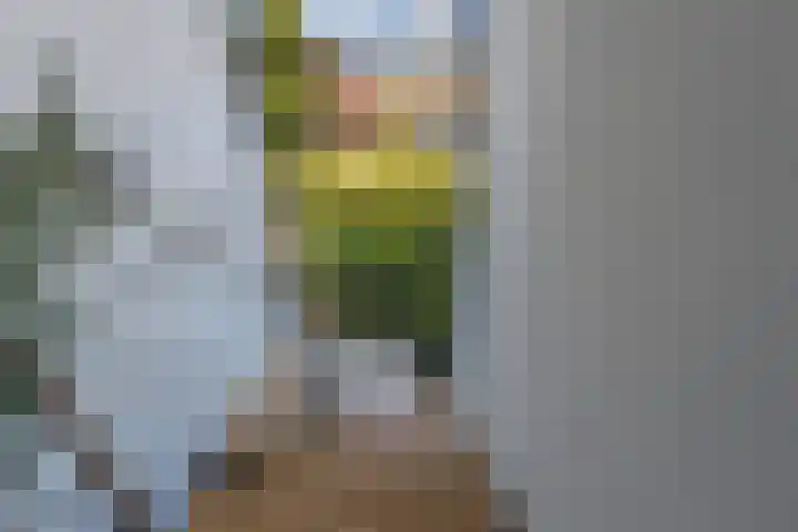 In de Boomgaard 26 Kerkrade thumbnail 17