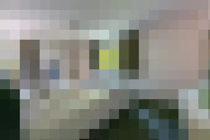 In de Boomgaard 26 Kerkrade thumbnail 22