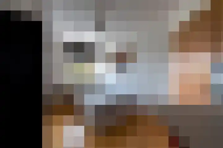 In de Boomgaard 26 Kerkrade thumbnail 24