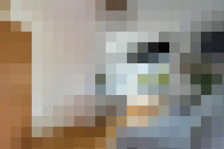 In de Boomgaard 26 Kerkrade thumbnail 26