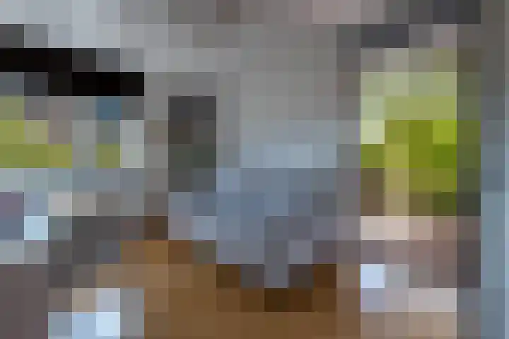 In de Boomgaard 26 Kerkrade thumbnail 27