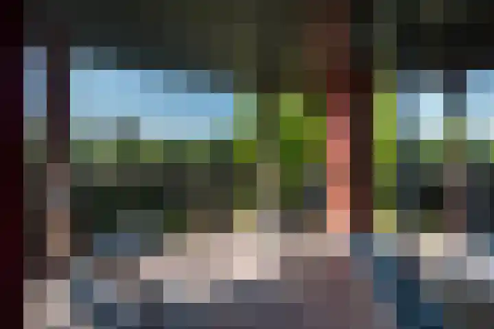 In de Boomgaard 26 Kerkrade thumbnail 28