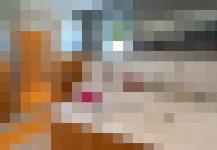 In de Boomgaard 26 Kerkrade thumbnail 31