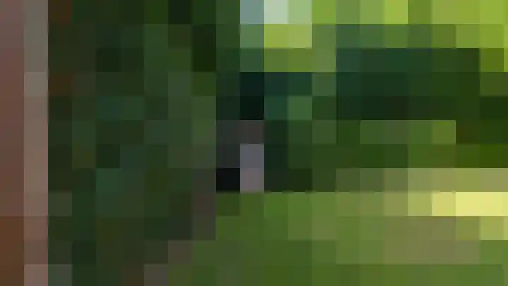 In de Boomgaard 26 Kerkrade thumbnail 51
