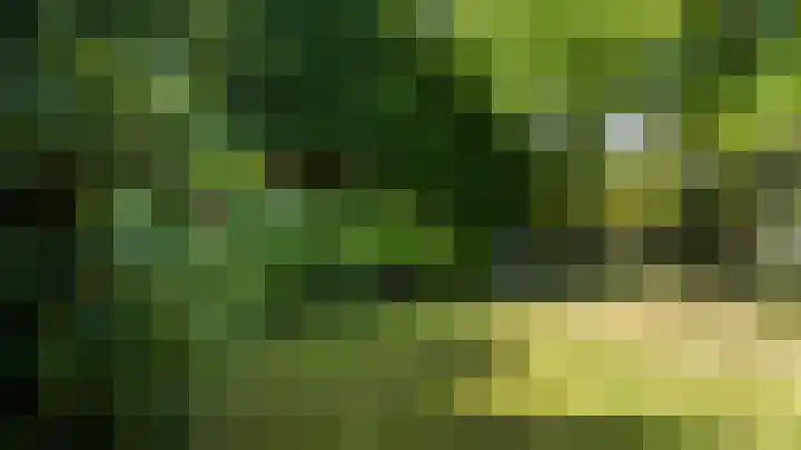 In de Boomgaard 26 Kerkrade thumbnail 52
