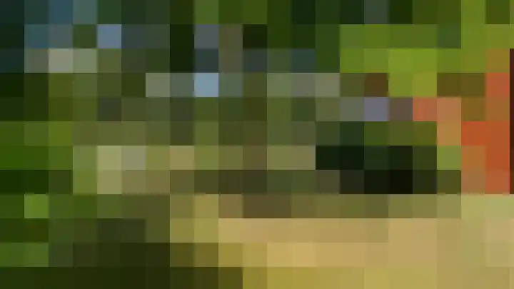 In de Boomgaard 26 Kerkrade thumbnail 53