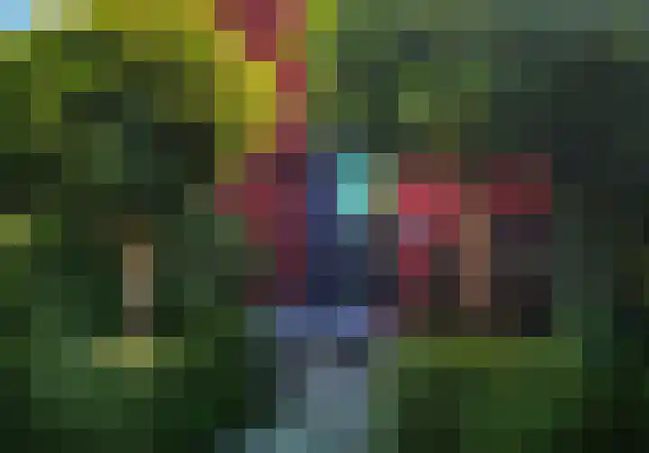 In de Boomgaard 26 Kerkrade thumbnail 6